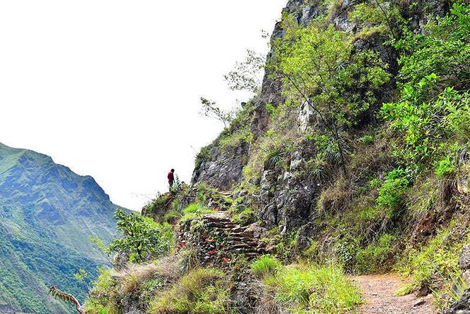 07 Day: Inca Jungle Adventure with Mountain Bike, Rafting, Zipline & Trek - Zip line included during the jungle stretch