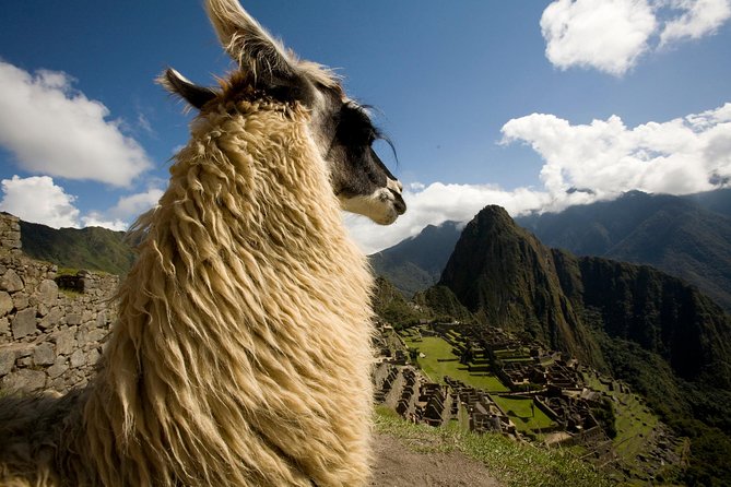 10-Day Taste Peru Experience: Lima, Nasca, Cusco & Machu Picchu - Lima first: Miraflores views, Huaca Pucllana, and a Cathedral day that makes sense
