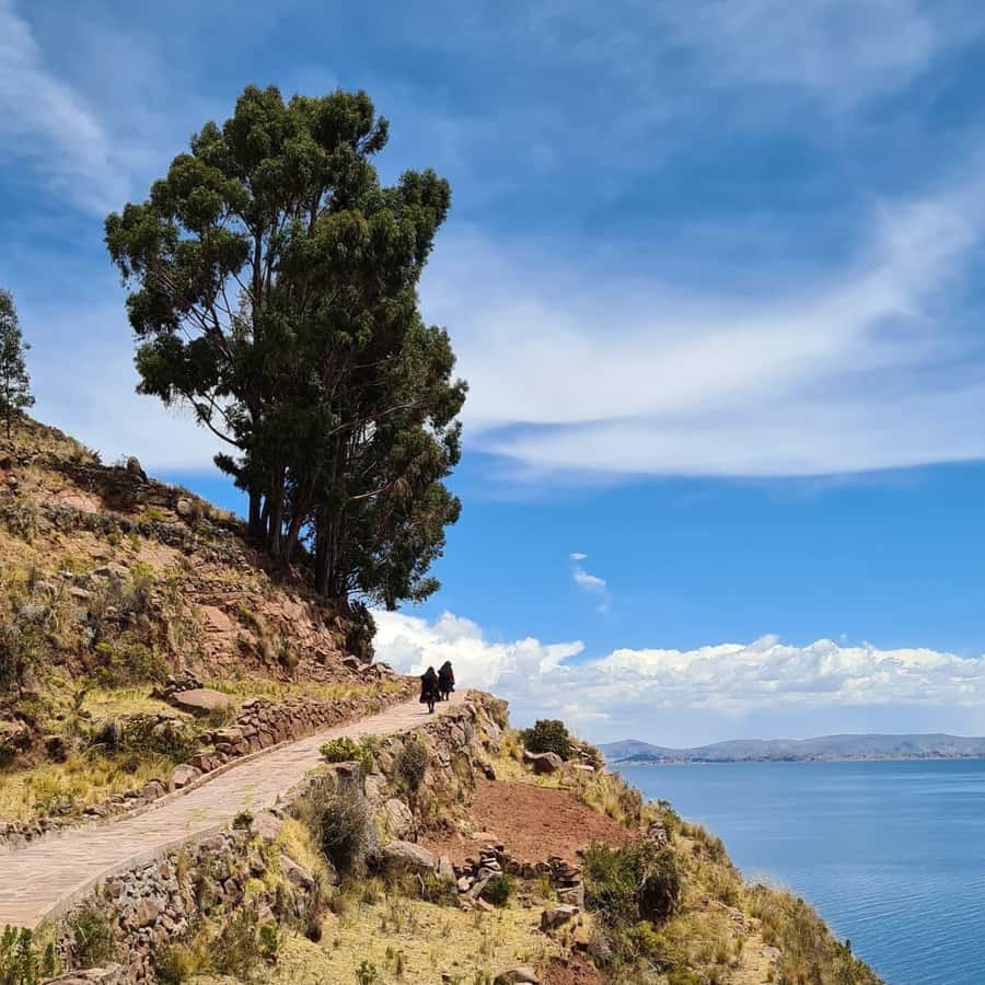 2-Day Amantani Island homestay overnight Tour from Puno - A night on Amantaní: dinner, folkloric dance, and the reality of dark paths