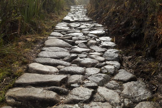 2 Day - Inca Trail to Machu Picchu - Day 2: sunrise bus timing, passport checkpoint, and Circuit 3 citadel walk