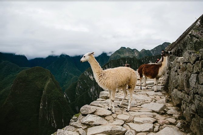 2-Day Short Inca Trail to Machu Picchu - Machu Picchu morning: early entry feel, 2 hours guided, then free time