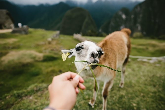 2-Day Short Inca Trail to Machu Picchu - What to pack and how to make the short trek easier