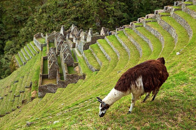 2 Day - Short Inca Trail to Machu Picchu - Group Service - Aguas Calientes: Your One-Night Buffer Before the 5:30am Start