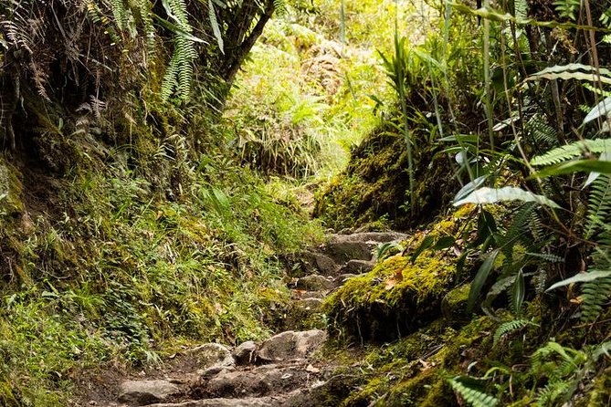 2 Day - Short Inca Trail to Machu Picchu - Group Service - Who This Group Tour Suits Best, and Who Should Rethink It
