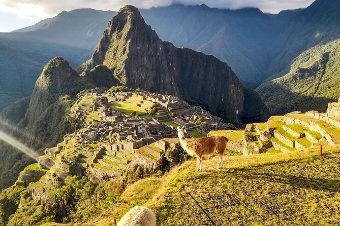 2 Day Tour Throughout the Short Inca Trail to Machu Picchu - From Cusco to Km 104: trains, transfers, and that early alarm