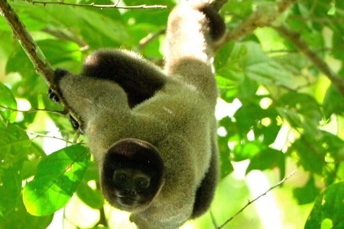 3-Day Eco-Sustainable Private Tour Manu National Park - Key highlights to know before you go