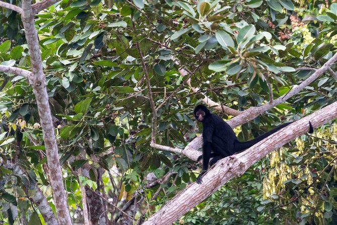 3-Day Eco-Sustainable Private Tour Manu National Park - Day 2 Atalaya: upper Madre de Dios boat time, thermal baths, rafts, and night walks
