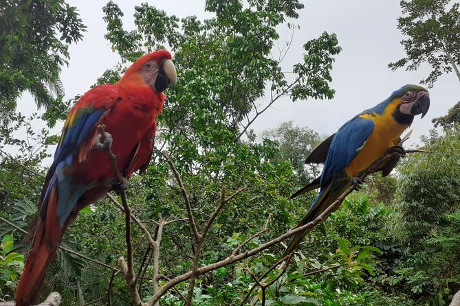3-Day Eco-Sustainable Private Tour Manu National Park - Eco-sustainable details that are more than marketing