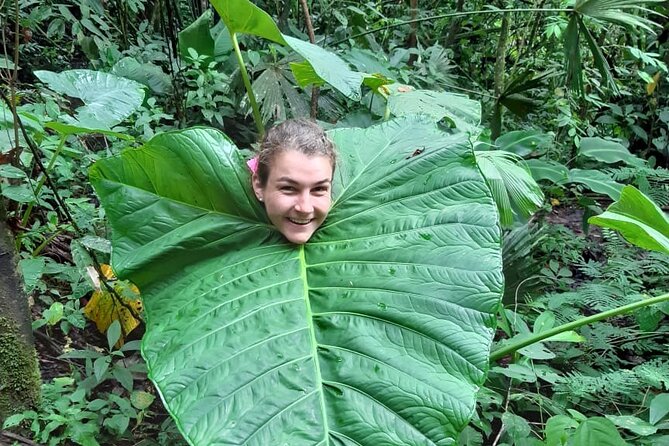 3-Day Eco-Sustainable Private Tour Manu National Park - Lodging and meals: comfort level, plus what you should expect