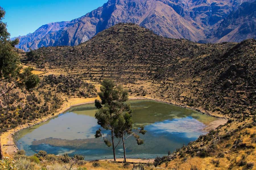 3-day trek to the Colca Canyon from Arequipa ending in Puno - Key things to know before you book