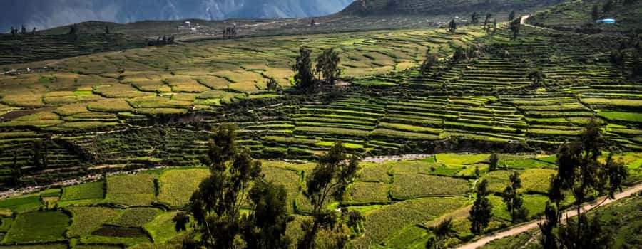3-day trek to the Colca Canyon from Arequipa ending in Puno - Pace and comfort: what to expect on foot