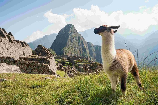 4-Day Excursion to MachuPicchu & Rainbow Mountain & City tour || All Included || - Key highlights I’d plan around