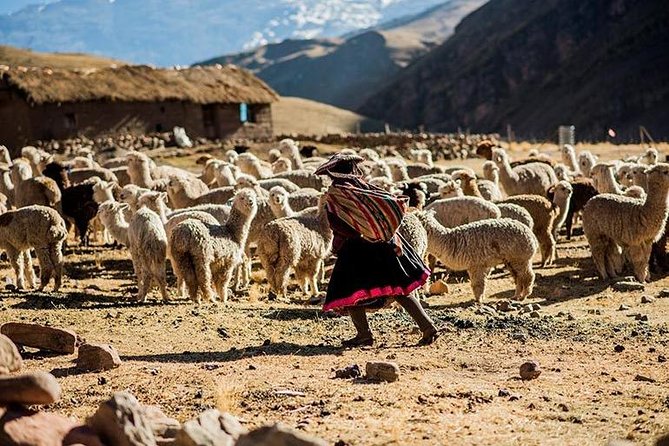 4-Day Lares Trek to Machu Picchu - Lares Trek to Machu Picchu: Why this route feels different