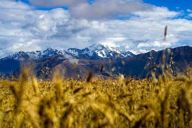 4-Day Lares Trek to Machu Picchu - Day 4: Machu Picchu morning, guided tour first, then your own time