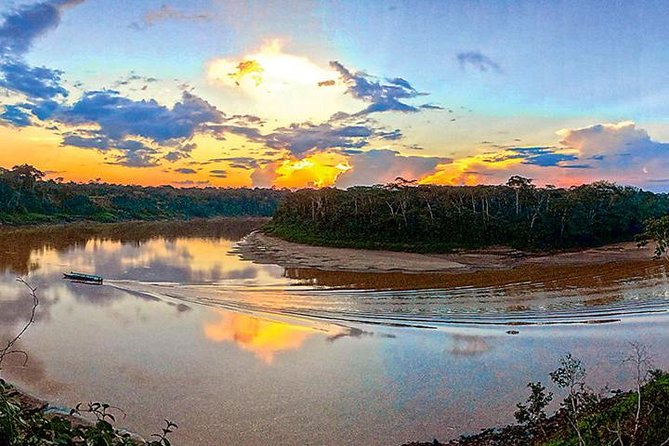 4 Day Tambopata Amazon Wildlife & Canopy Experience - Key things I’d zero in on before booking