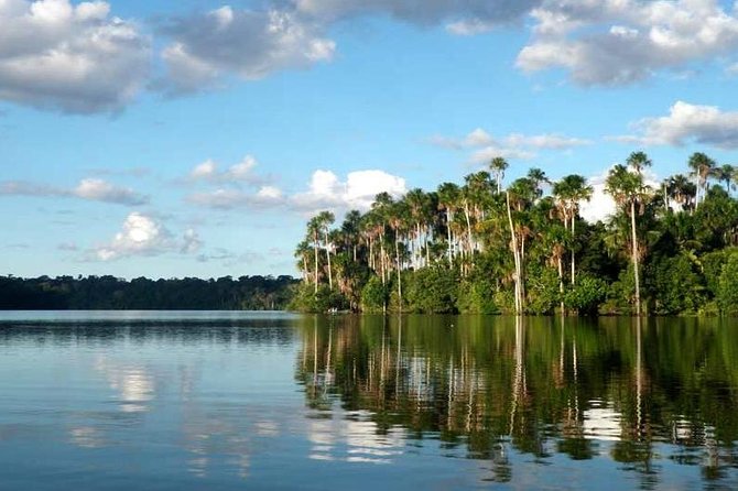 4 Day Tambopata Amazon Wildlife & Canopy Experience - Entering the Amazon from Puerto Maldonado: the start matters