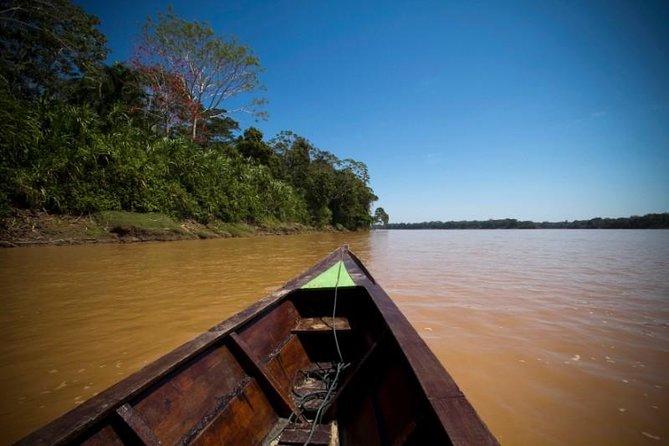 4 Day Tambopata Amazon Wildlife & Canopy Experience - Piranhas by the Small River, then tree climbing adrenaline
