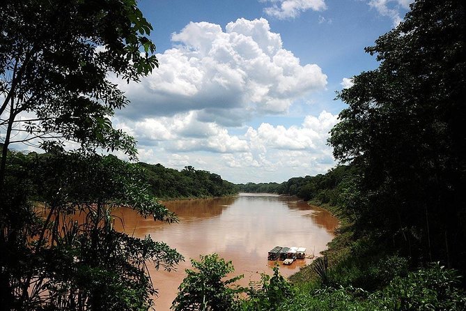 4 Day Tambopata Amazon Wildlife & Canopy Experience - Parrot clay lick, a native family visit, then Puerto Maldonado market time