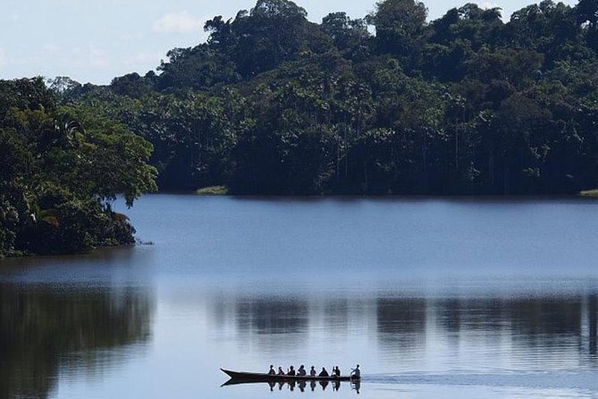 4 Day Tambopata Amazon Wildlife & Canopy Experience - Lodge reality: what comfort looks like in the Amazon