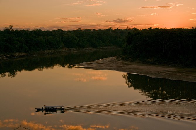 4 Day Tambopata Amazon Wildlife & Canopy Experience - Meals and included snacks: a simple but important piece of value