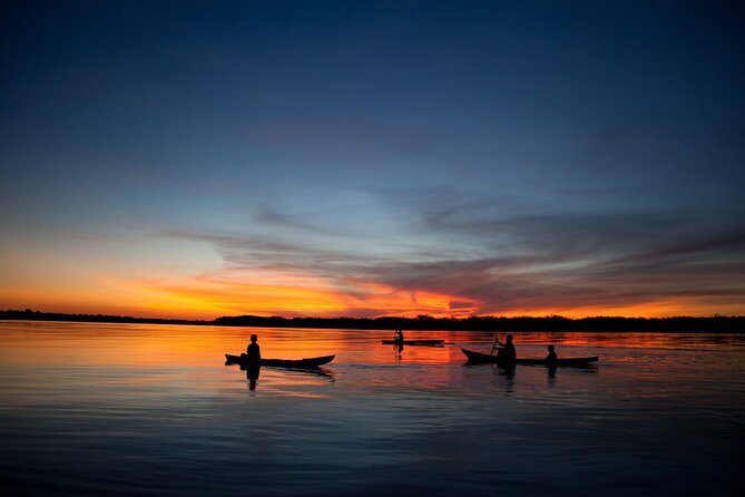 4 Day Tambopata Jungle Tour with Local Guide - Collpa de Loros sunrise: clay-lick birds and early morning payoff
