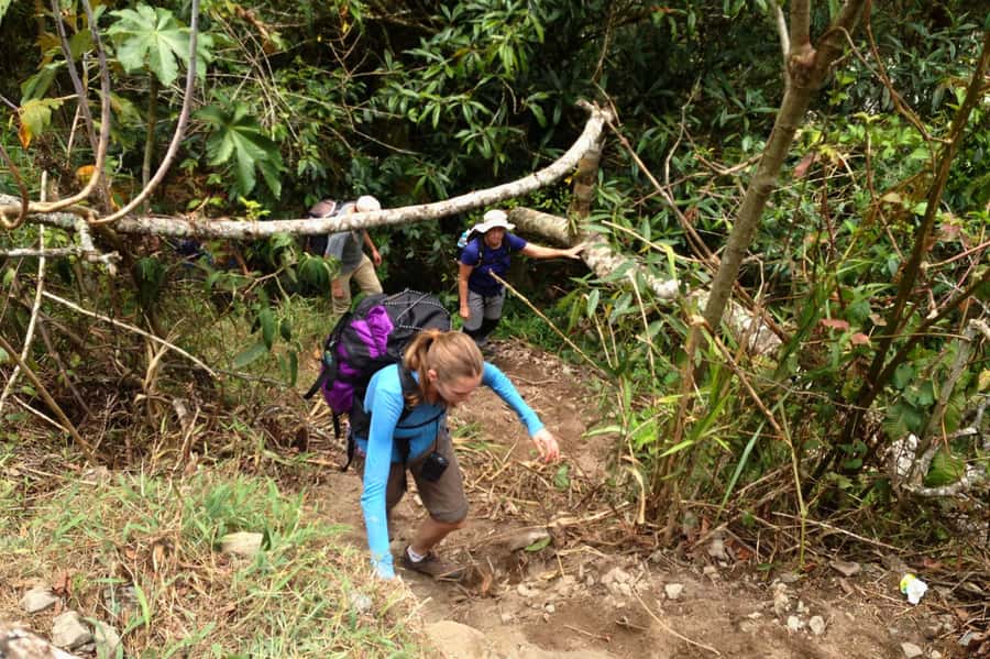 4 Days Inca Jungle Adventure to Machu Picchu - Pace, difficulty, and what to watch for