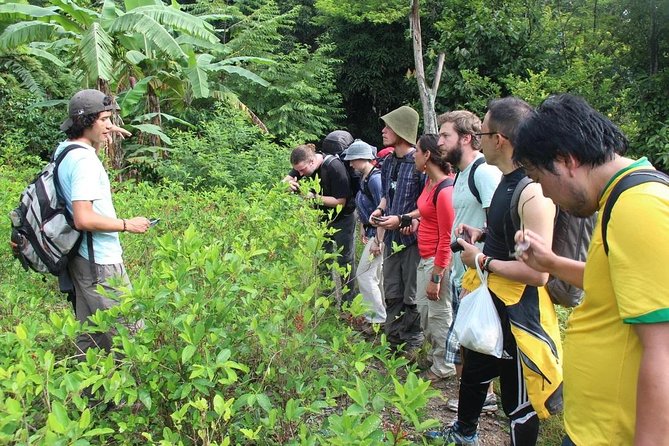 4 Days Inca Jungle to Machu Picchu Standard - What’s included, and what you’ll likely pay extra
