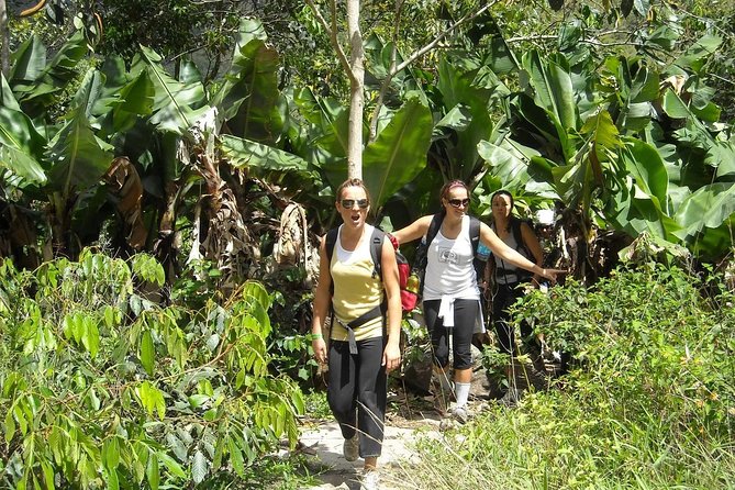 4 Days Inca Jungle to Machu Picchu Standard - Lodging and meals: basic comforts in remote places