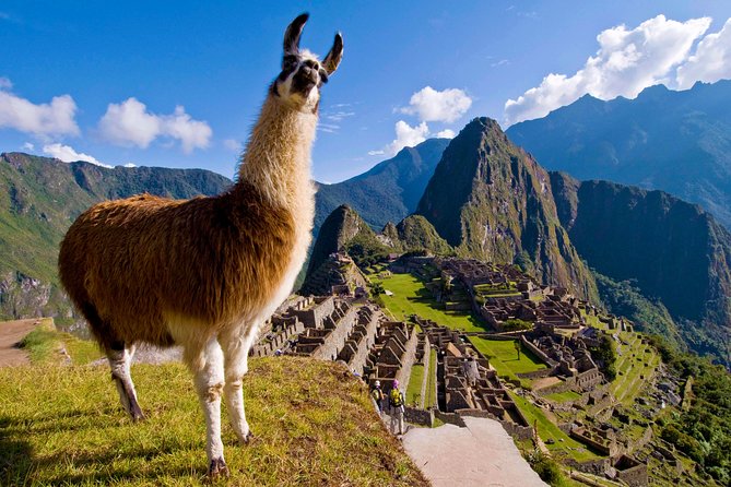 5 Day - Tour to Machu Picchu Traditional - Group service - Day 1 in Cusco: Qorikancha, Santo Domingo, and the big stone monuments
