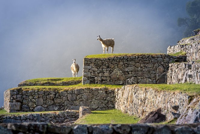 5 Day - Tour to Machu Picchu Traditional - Group service - Day 4 Machu Picchu sunrise: the guided walk plus your own explore time