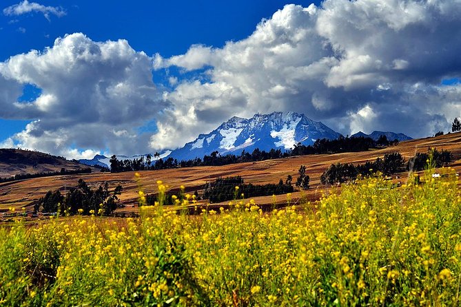 6-Day Cultural Tour to Machu Picchu - Cusco first: altitude-friendly comfort and getting your bearings