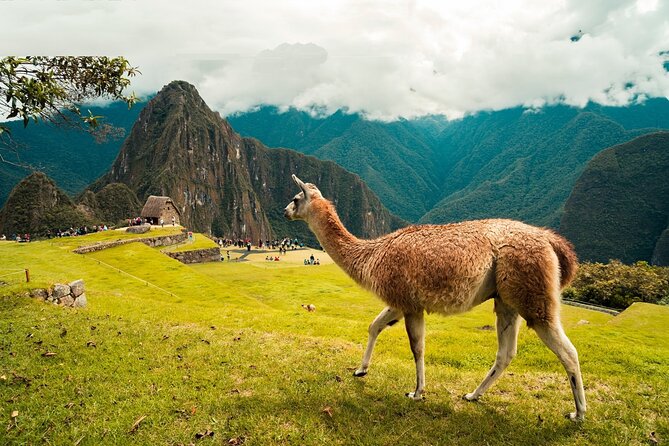 6-Day Tour of Cusco Magico-Machu Picchu-Rainbow Mountain - A 6-day Cusco plan that moves fast, but not chaotic