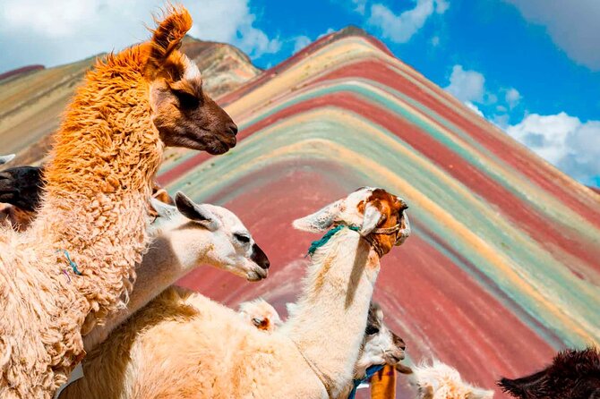6-Day Tour of Cusco Magico-Machu Picchu-Rainbow Mountain - Price and logistics: why $539 can feel fair, and where costs can sneak in