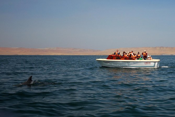 8-Day Enigmas of Peru - Day 2 Nazca Lines flight from Pisco, then Paracas for an ocean night