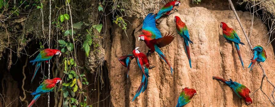 Amazonas Manu Cultural Zone 4 Days / 3 Nights - Atalaya: Boat Transfers, Watchtower Views, and Getting Wet on Purpose