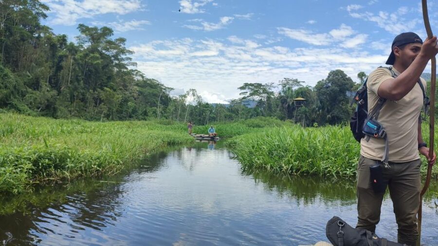 Amazonian Adventure 3 Days: Exploring the Jungle from Cusco - Day 3 Guadalupe Lodge, medicinal plants and the return through cloud forest