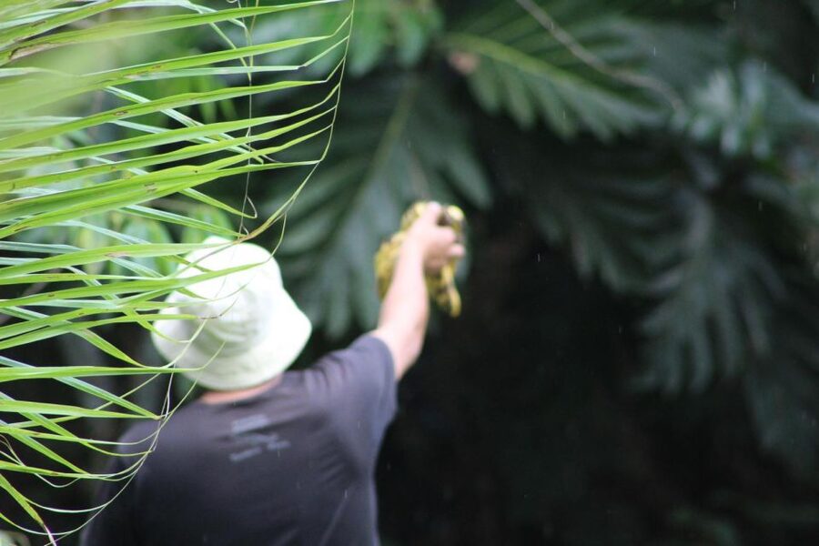 Amazonian Adventure 3 Days: Exploring the Jungle from Cusco - Guadalupe Lodge, food, and the small-group rhythm