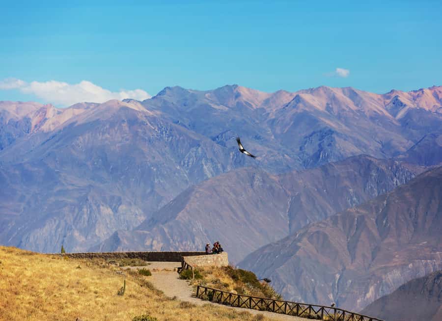 Arequipa: 2-Day Colca Canyon Classic Tour return to Arequipa - Why the early Cruz del Condor start really matters