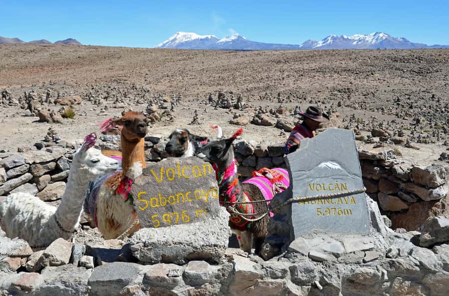 Arequipa: 2-Day Colca Canyon Classic Tour return to Arequipa - Price and logistics: what you pay, what you should budget