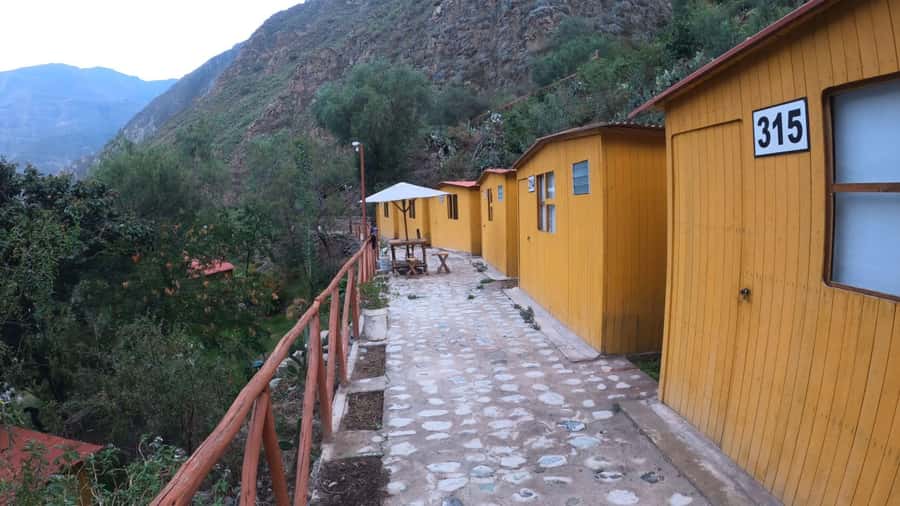 Arequipa: 2-day Colca Canyon Trekking, Ending in Puno - Day 1: The canyon walk, suspension bridge crossing, and the long descent