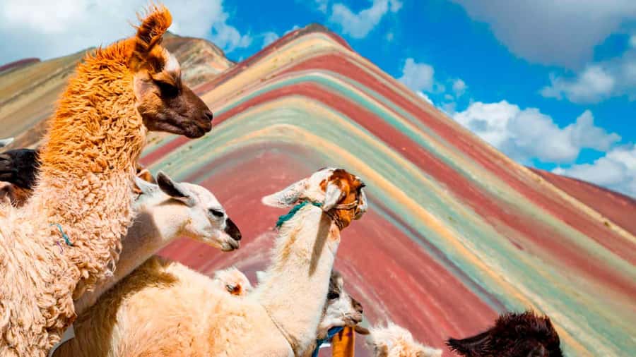 Arrive before the crowd to the Mountain in private service - Key Things You’ll Love About This Rainbow Mountain Trip