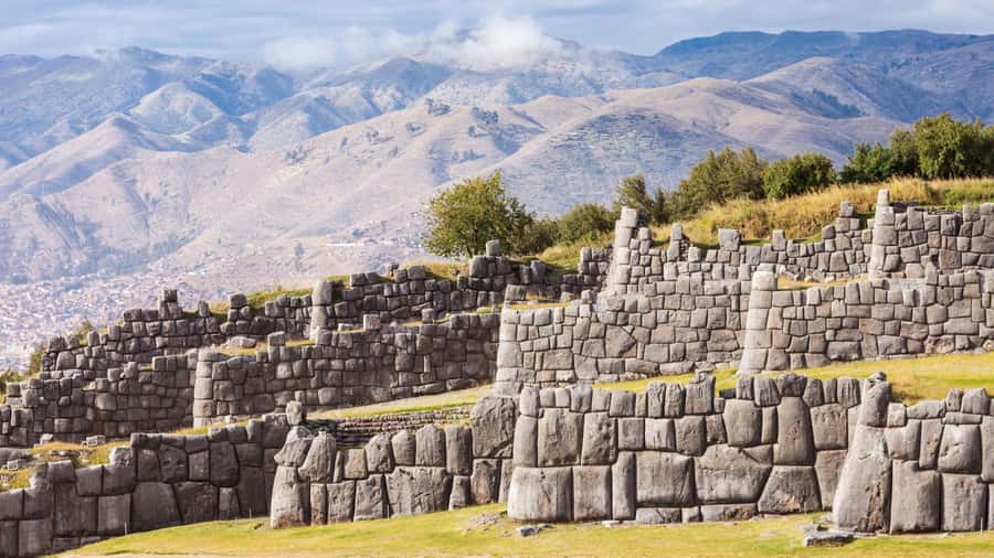 Best of Cusco: Private Walking Tour with a Local - Food tips that go beyond tourist menus: cuy, alpaca, and coca tea