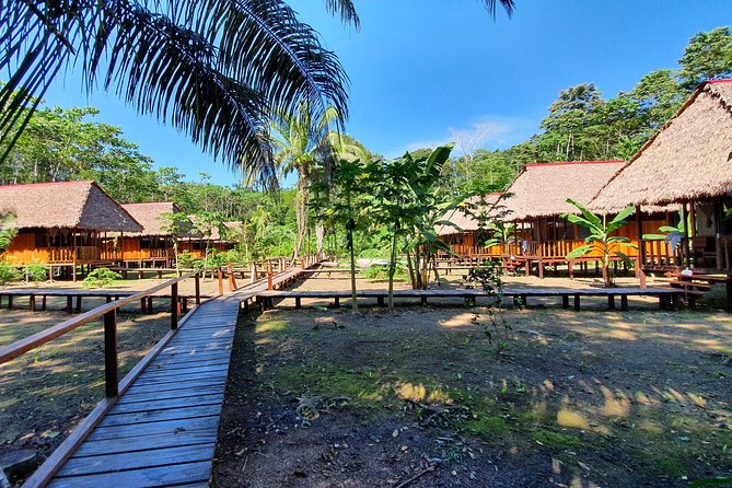 Best of Tambopata 2 nights by JunglePro - Tambopata River time: where the rainforest shows its working side