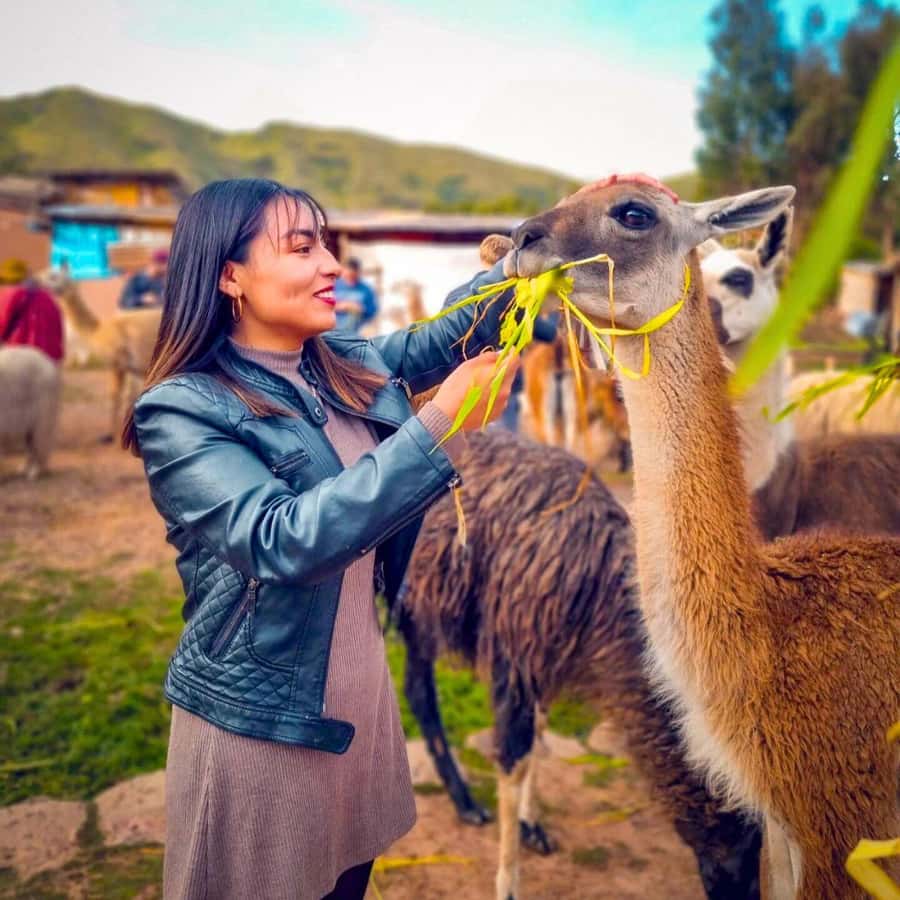 BUS 180 CUSCO - Qorikancha to Sacsayhuaman: the Inca story in motion