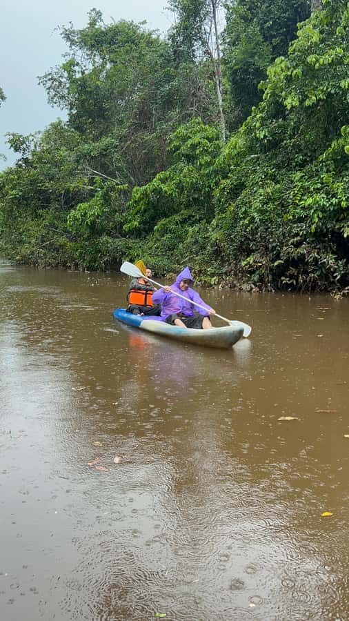 Canopy Tower, Zipline, Kayak, and Monkey Island … - From Puerto Maldonado meeting point to lodge-based rainforest time