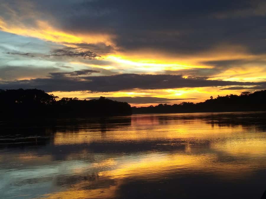 Capibara and caiman search on the Tambopata river - Key moments at a glance
