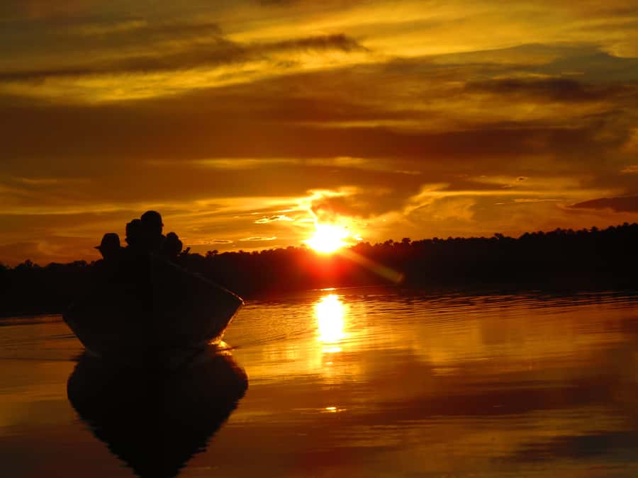 Capibara and caiman search on the Tambopata river - Sunset cruise timing that actually helps wildlife spotting