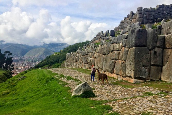 City Tour in Cusco & visit Museum South American Camelid Private. - Price and value: why $49.40 can be a smart spend