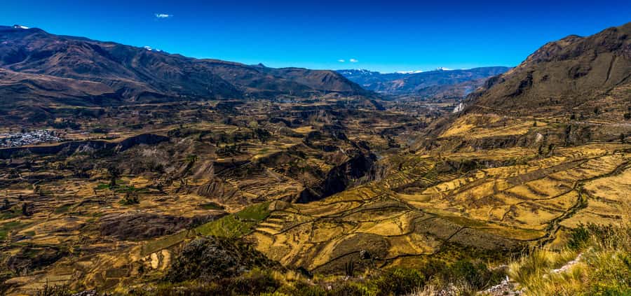 Colca Canyon: 2-Day Tour from Arequipa to Puno - Should you book the Arequipa to Puno Colca Canyon 2-day tour?