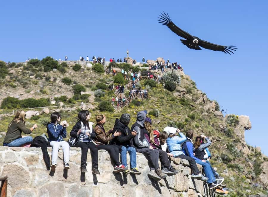 Colca Canyon: 2-Day Tour from Arequipa to Puno - From Arequipa to Chivay, you climb fast and see why people remember Colca